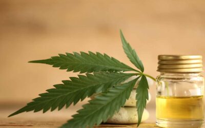 Is CBD safe during pregnancy? Check your facts here!
